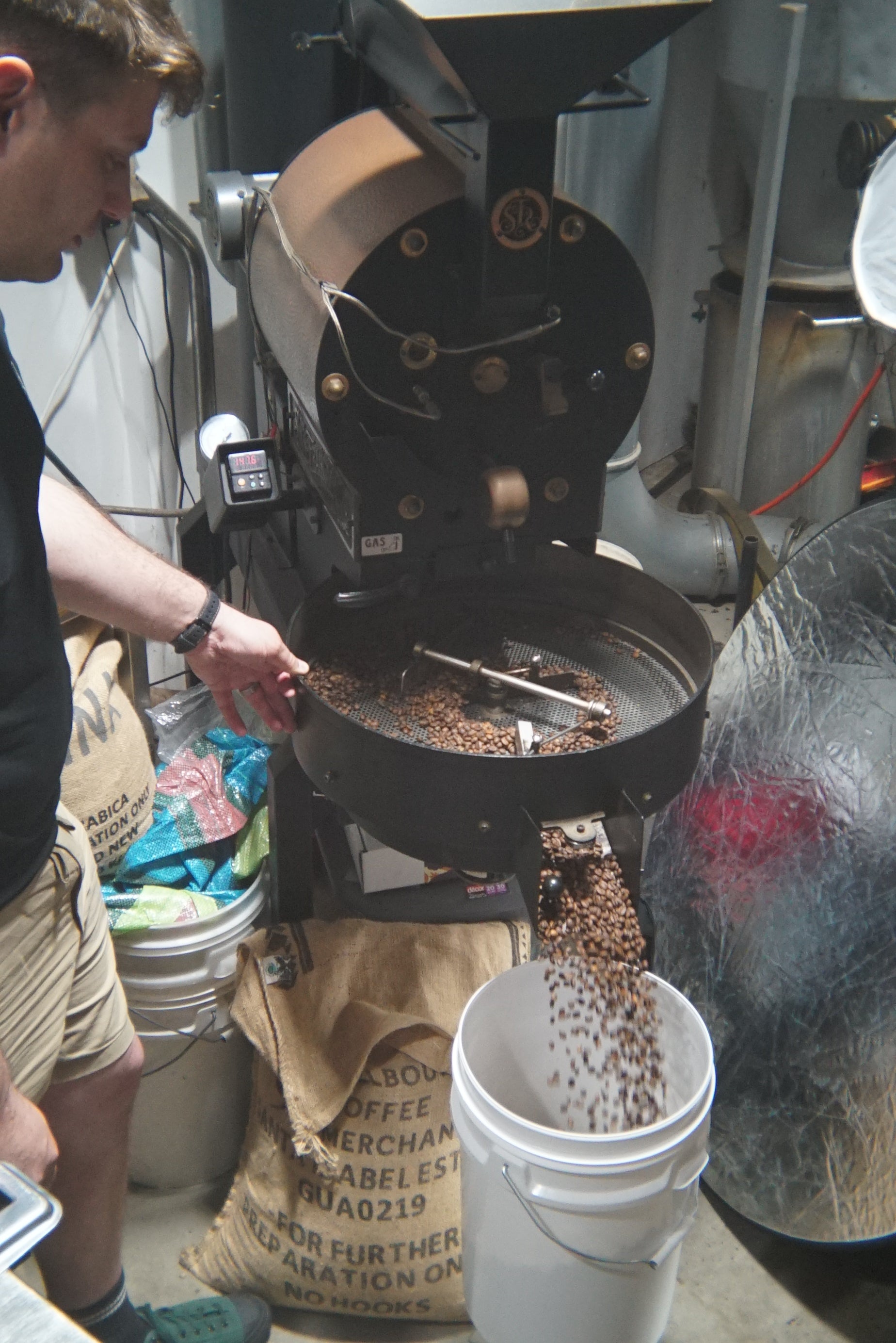 Person operating a coffee roasting machine with coffee beans and a white container nearby.